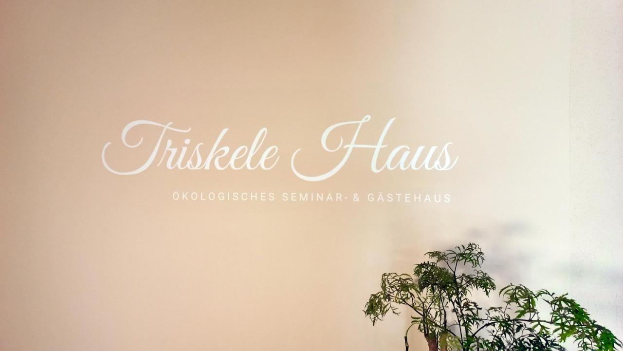 Triskele Haus - Oekologisches Gaestehaus Der Heilstaette Strelitz Neustrelitz Luaran gambar